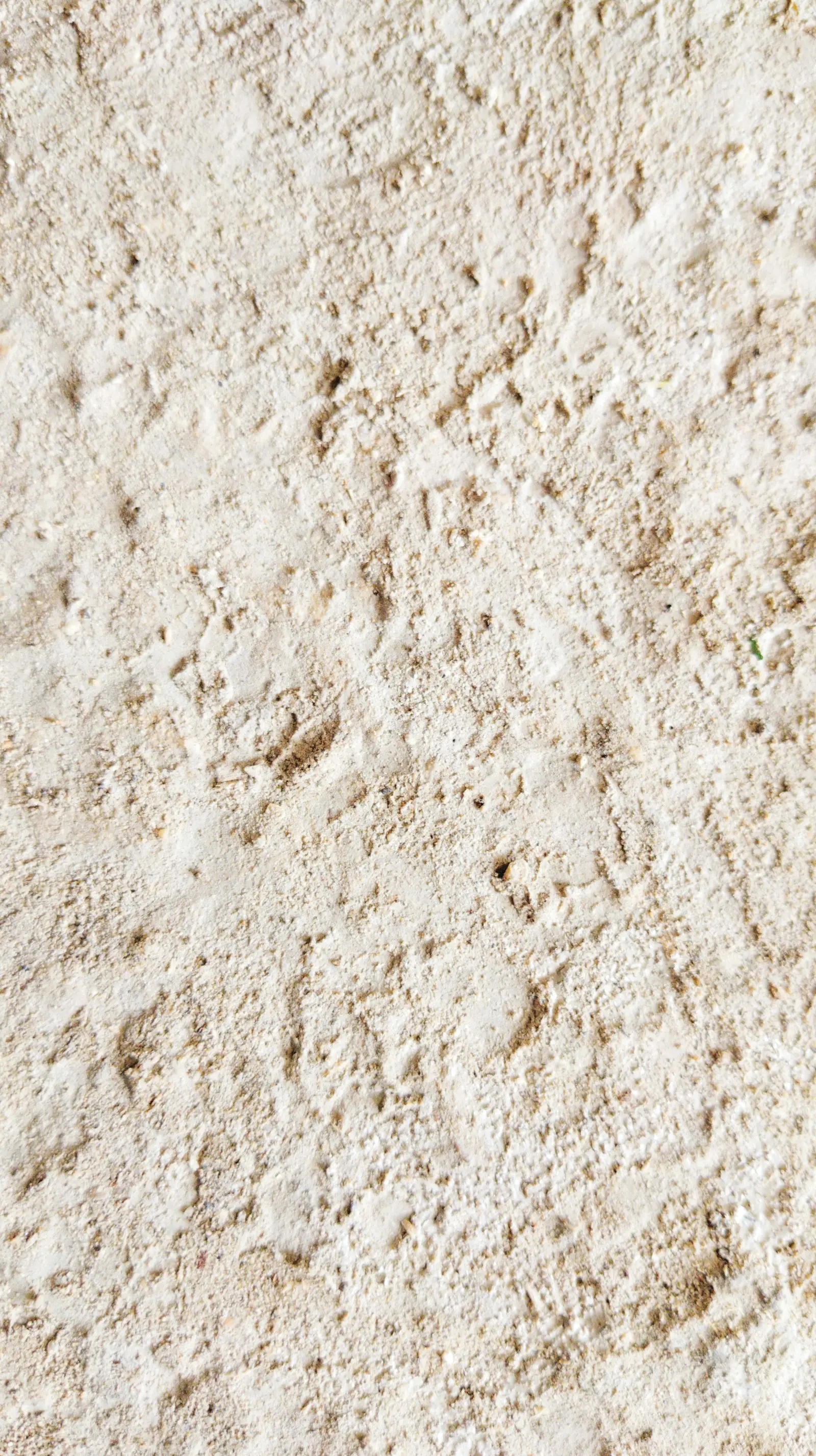 Porous beige travertine surface, seen from above